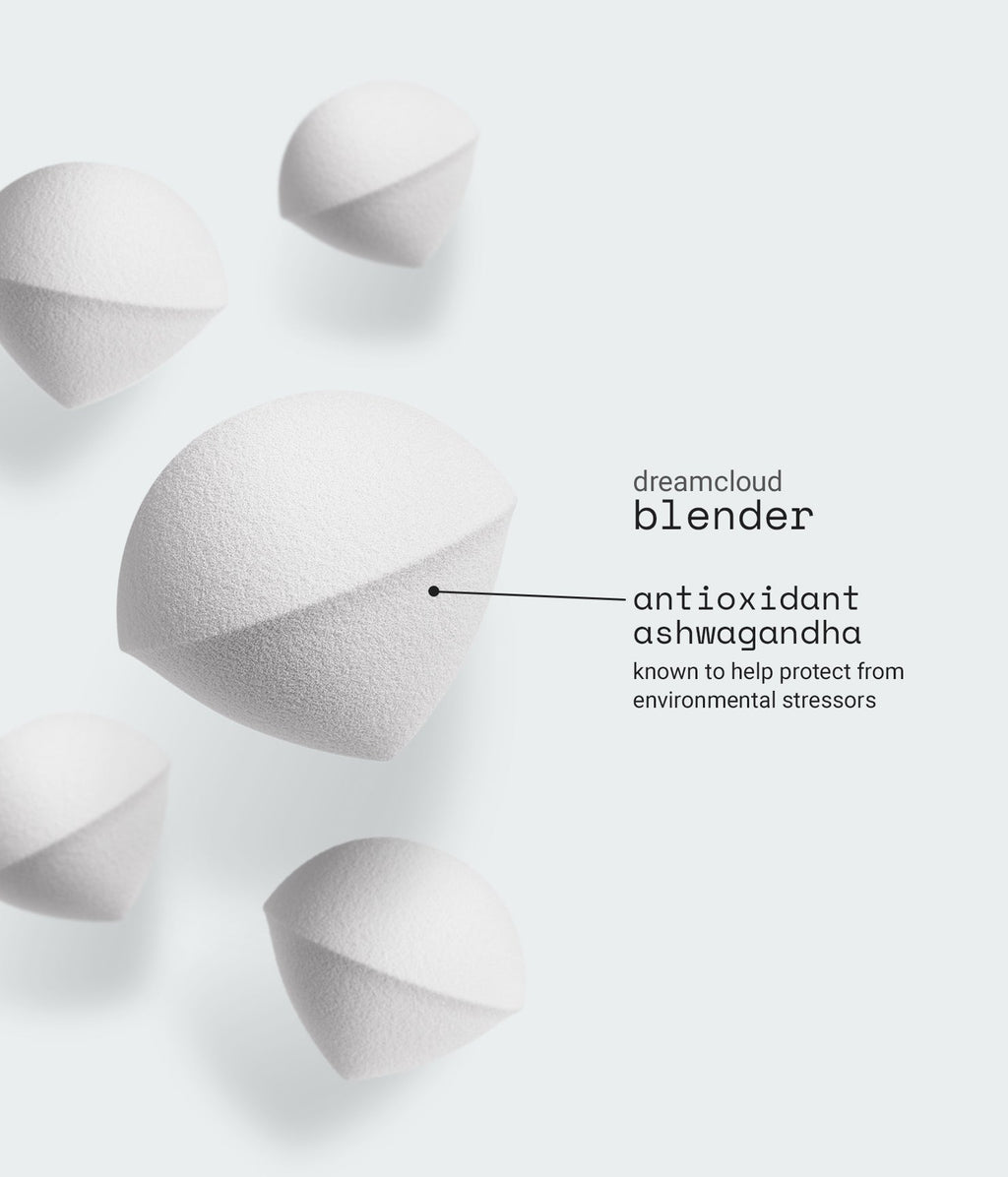 blender sponge