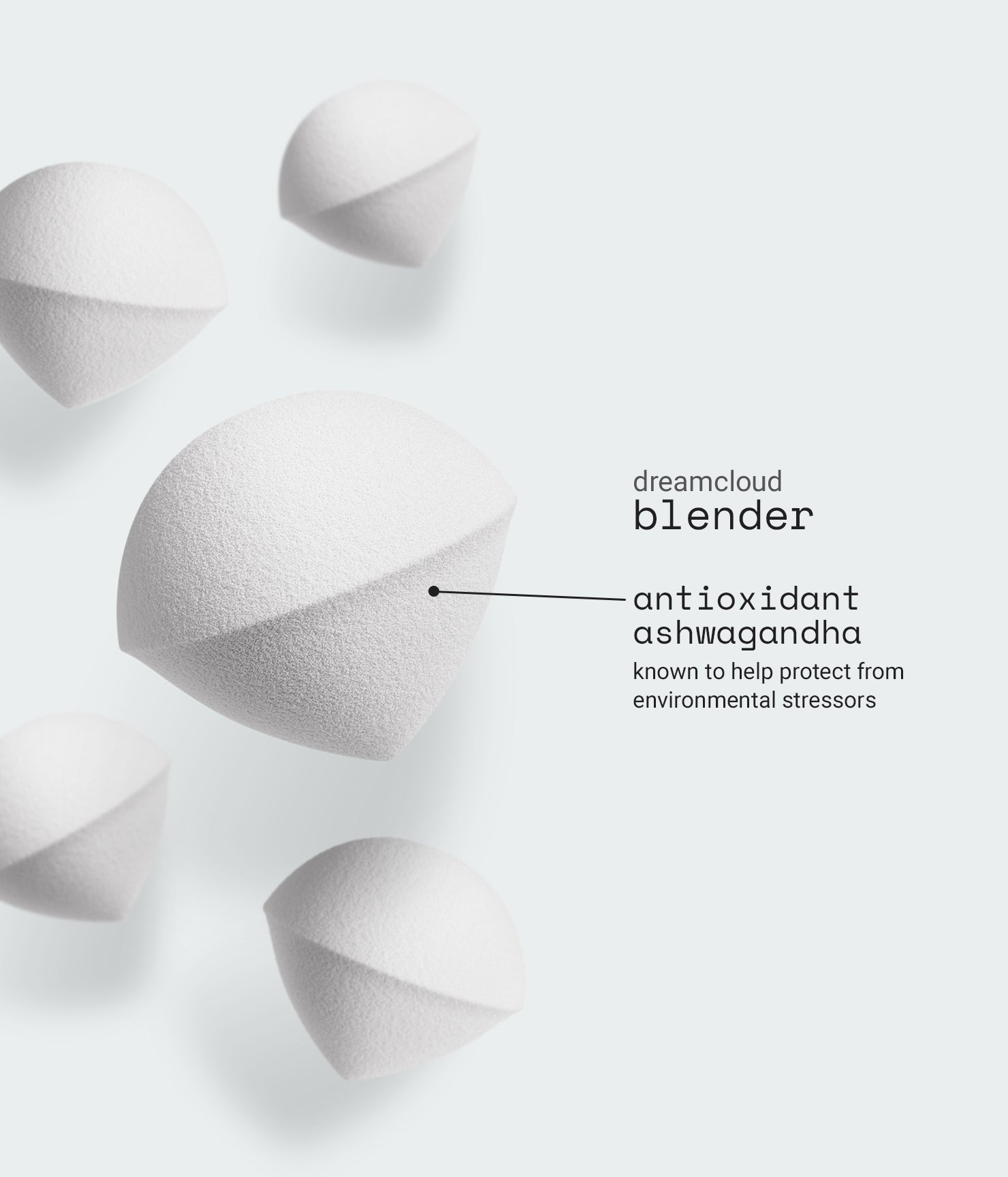 blender sponge